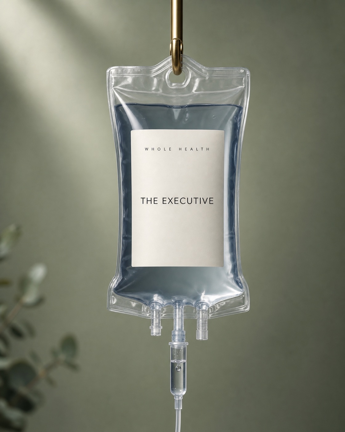 Whole Health The Executive IV drip